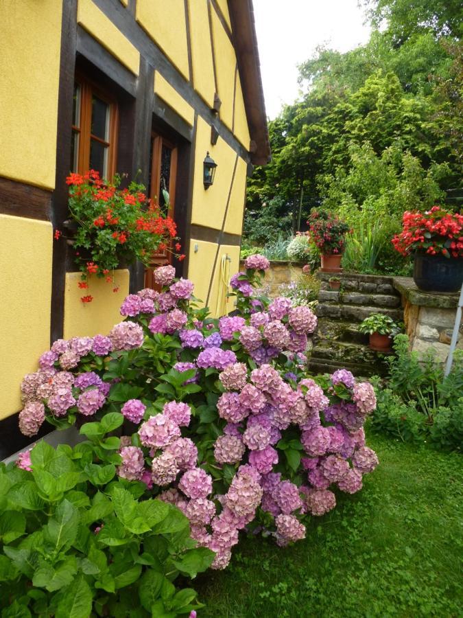 Отель La Pomme De Pin Raedersdorf Экстерьер фото