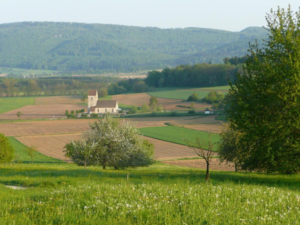 Отель La Pomme De Pin Raedersdorf Экстерьер фото