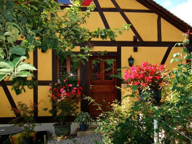 Отель La Pomme De Pin Raedersdorf Экстерьер фото
